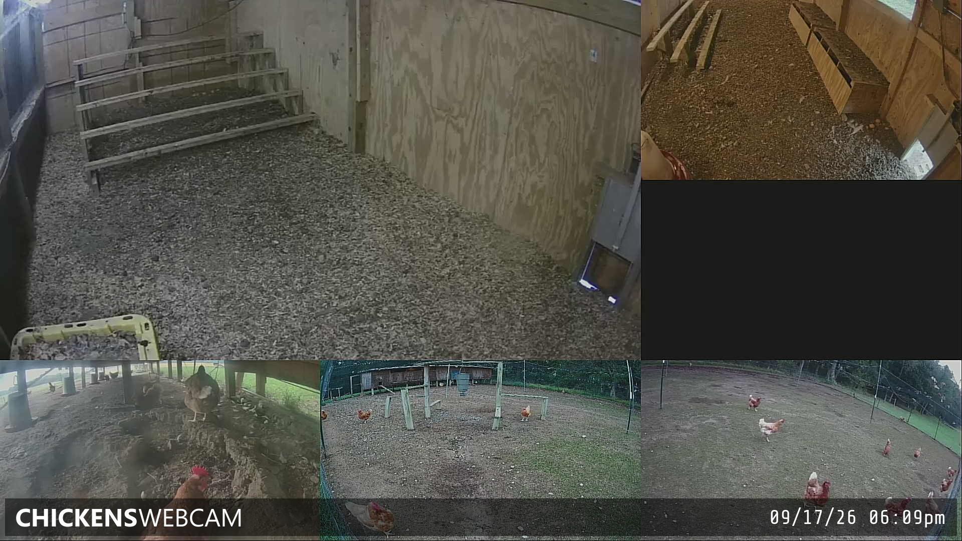 Twitch Stream Preview