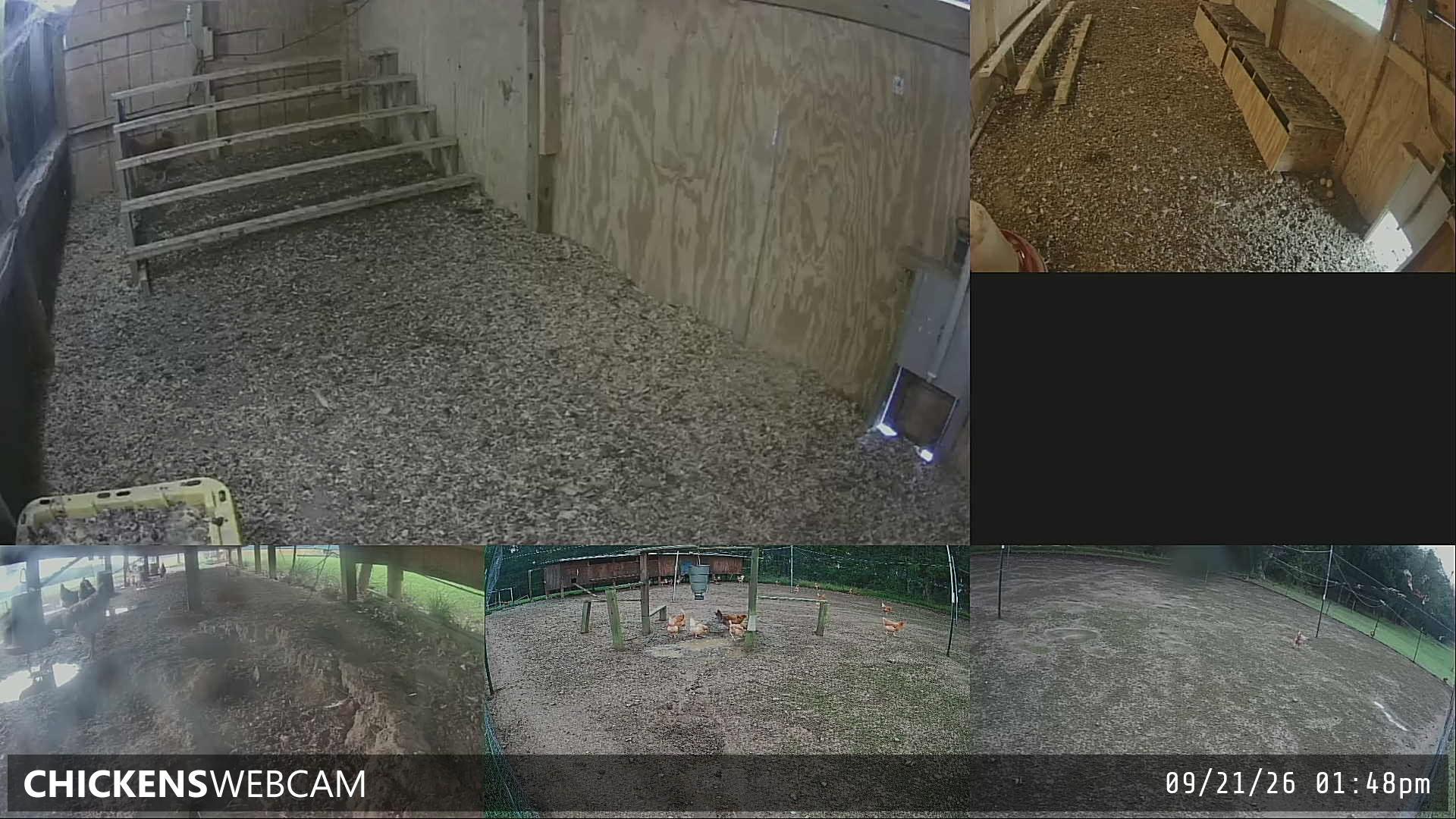 Twitch Stream Preview