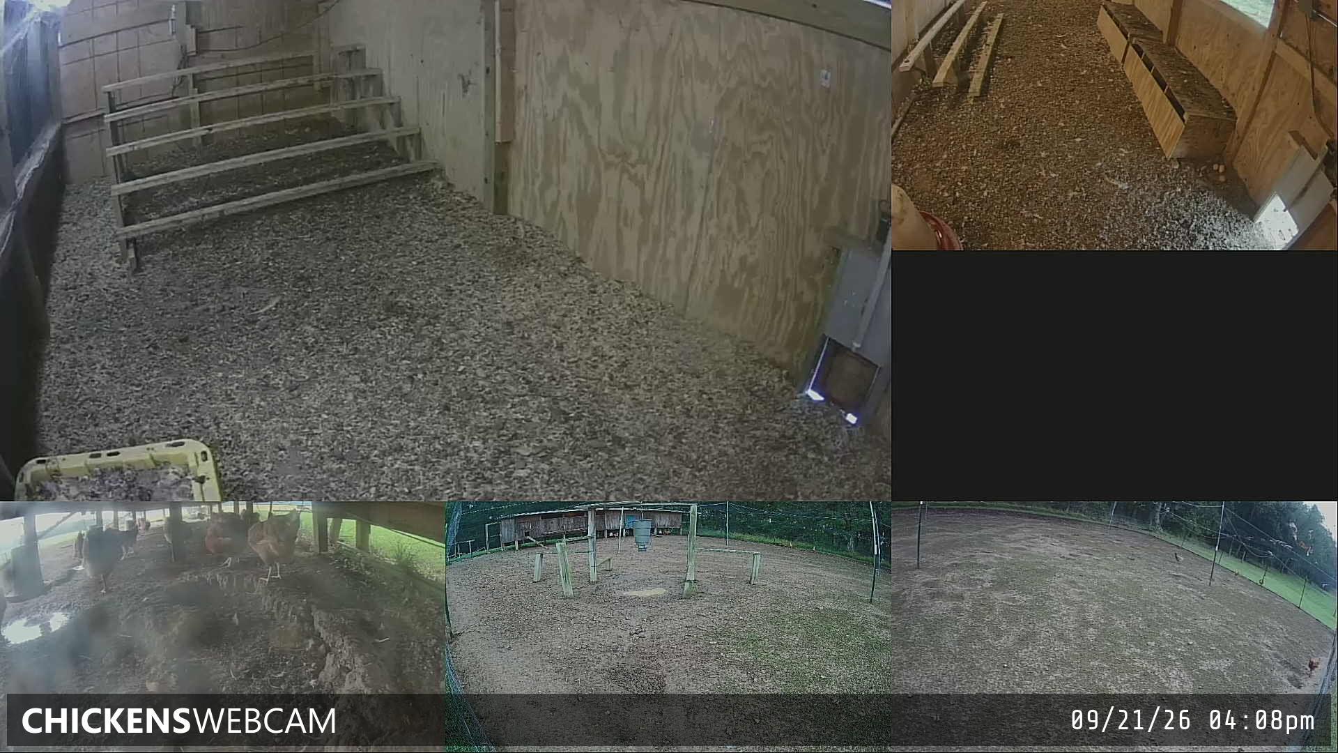 Twitch Stream Preview