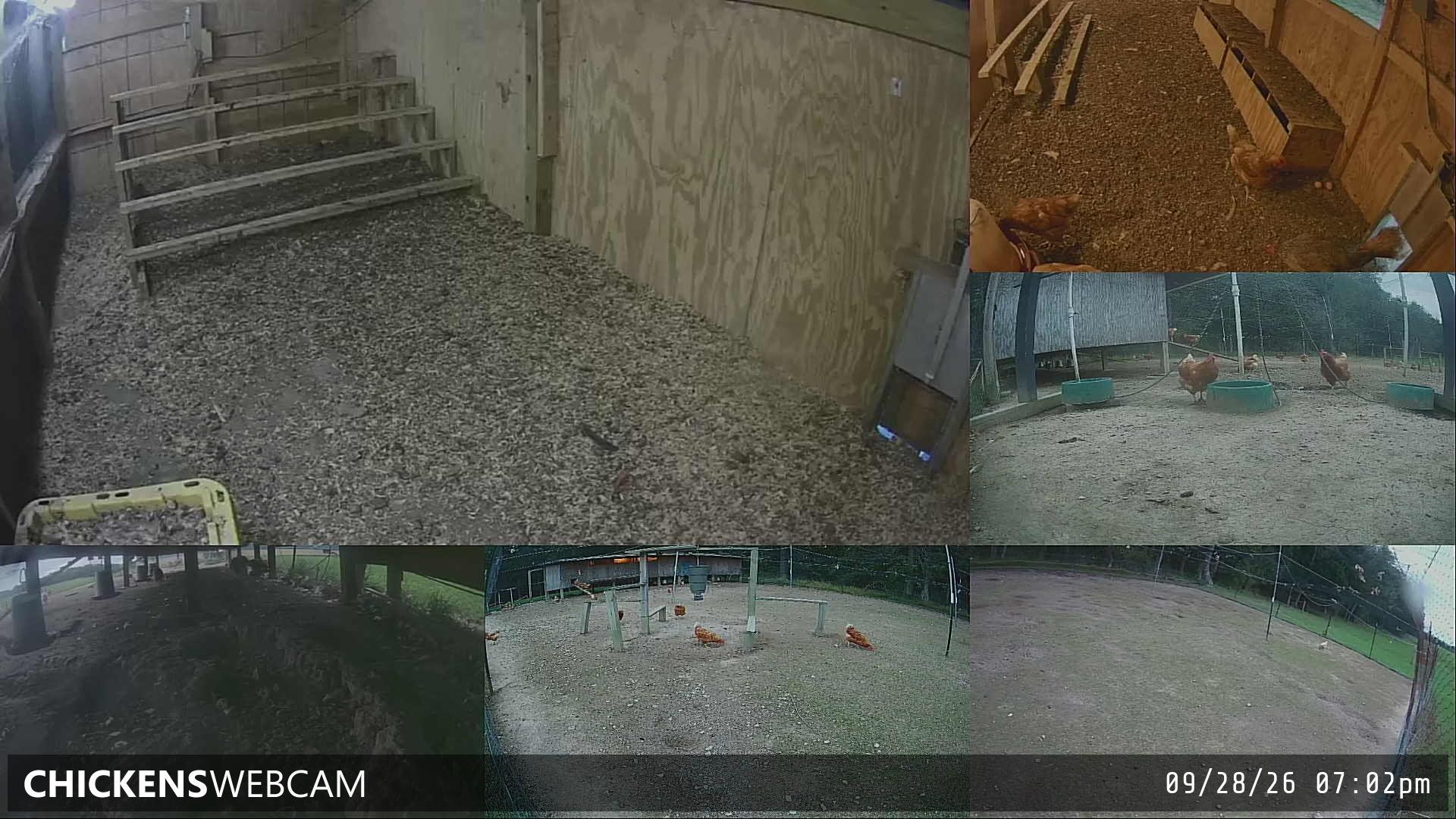 Twitch Stream Preview