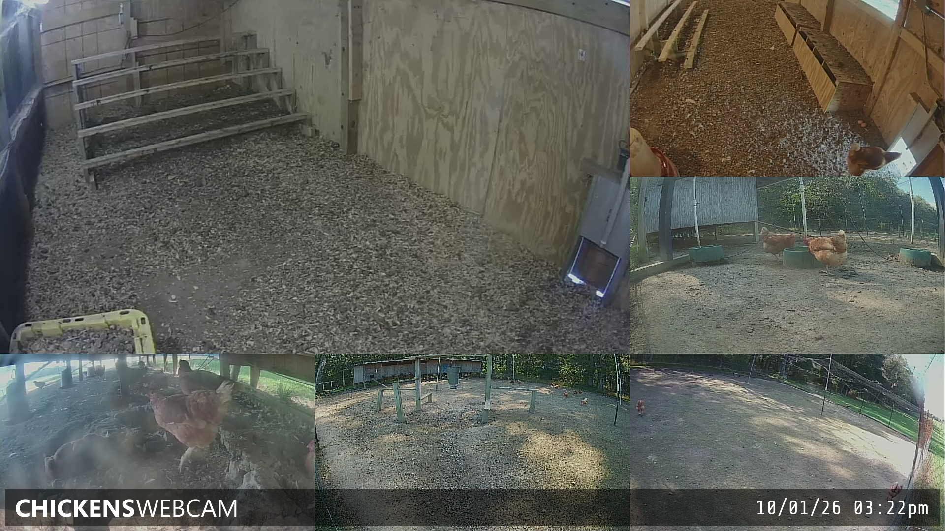 Twitch Stream Preview