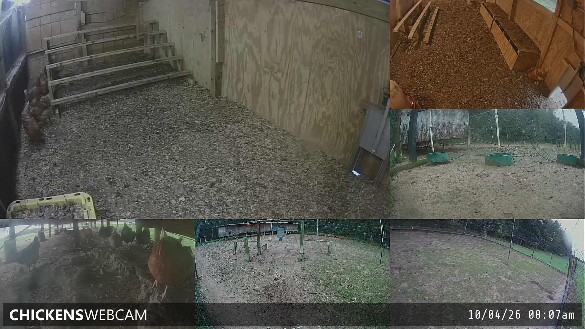 Twitch Stream Preview