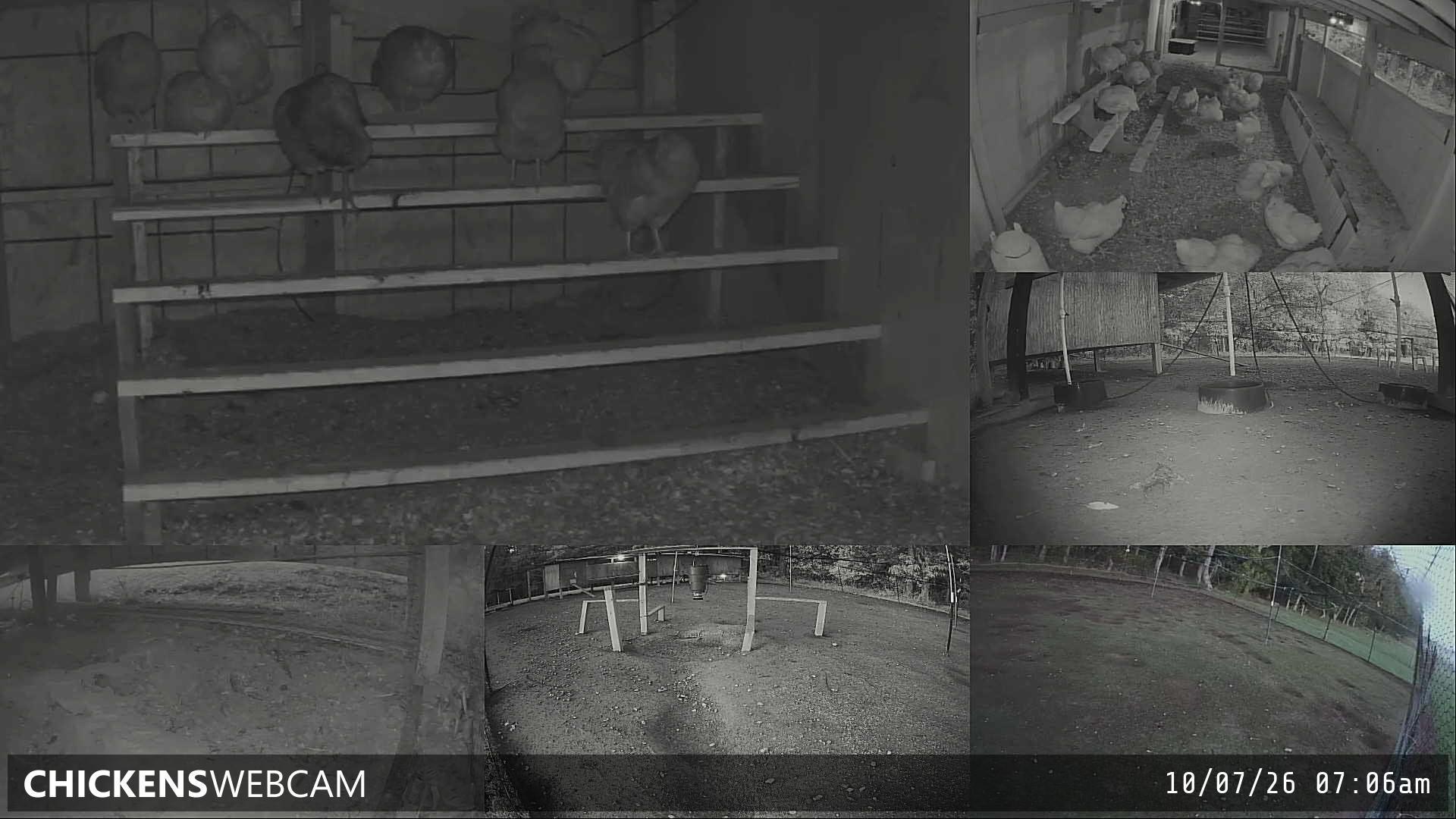 Twitch Stream Preview