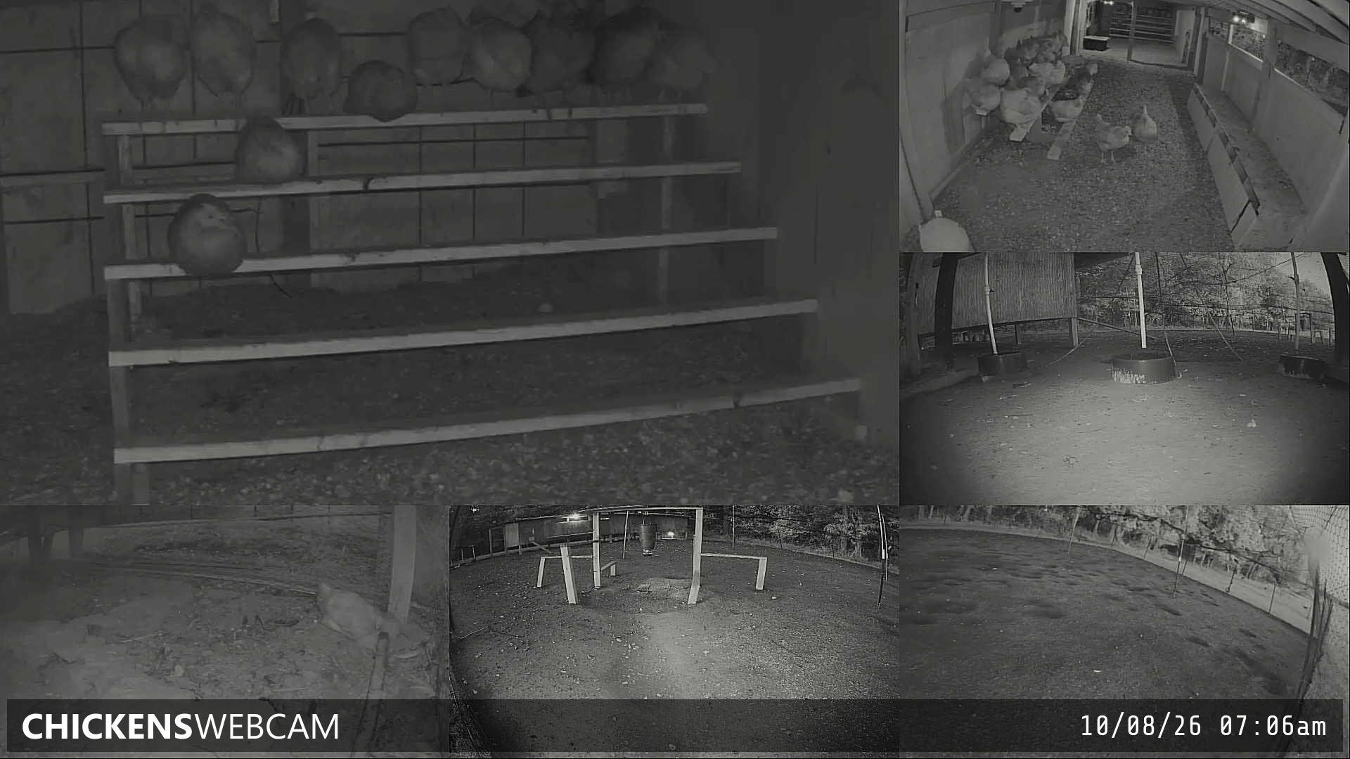 Twitch Stream Preview