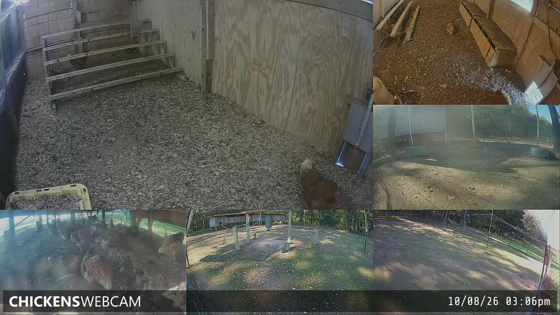 Twitch Stream Preview