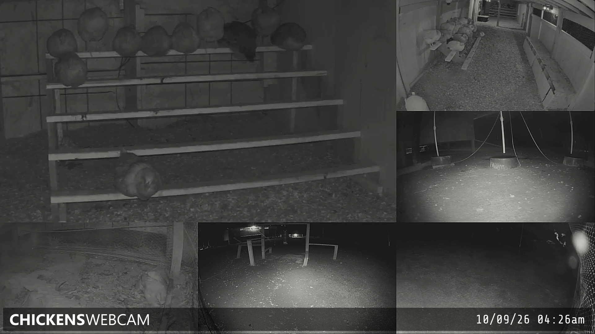 Twitch Stream Preview