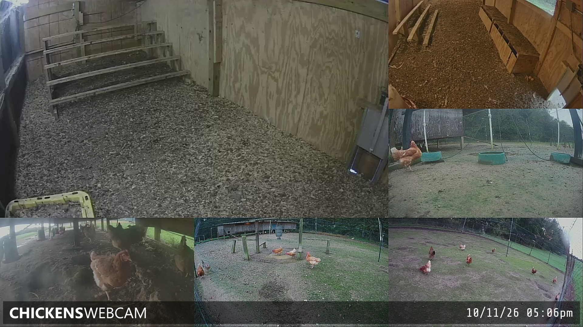 Twitch Stream Preview