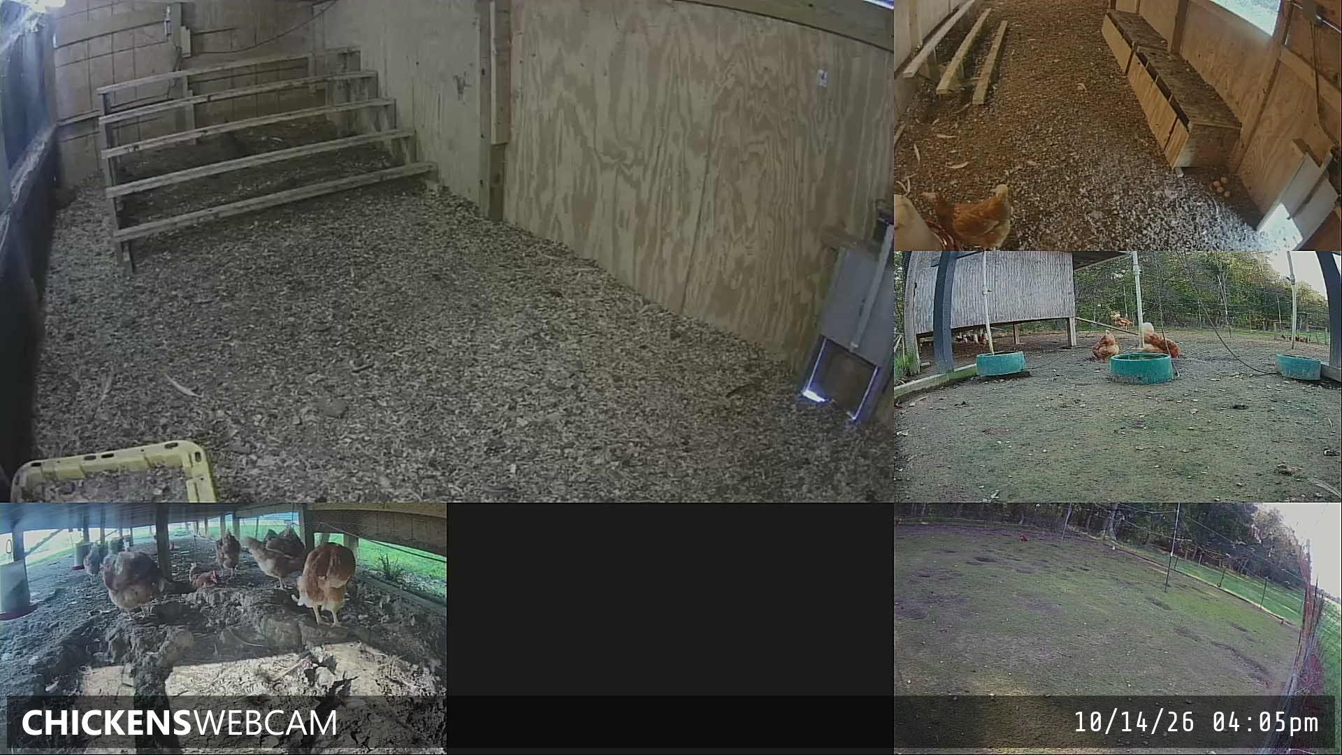 Twitch Stream Preview