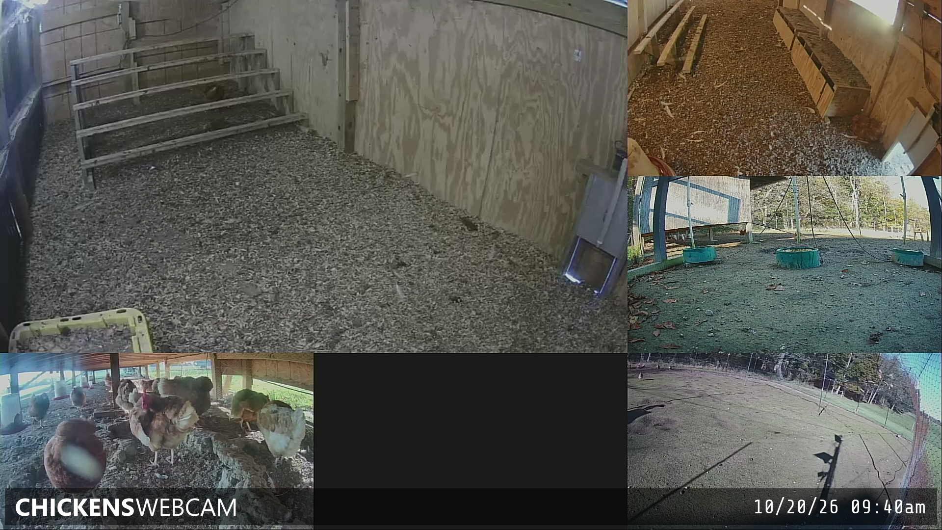 Twitch Stream Preview
