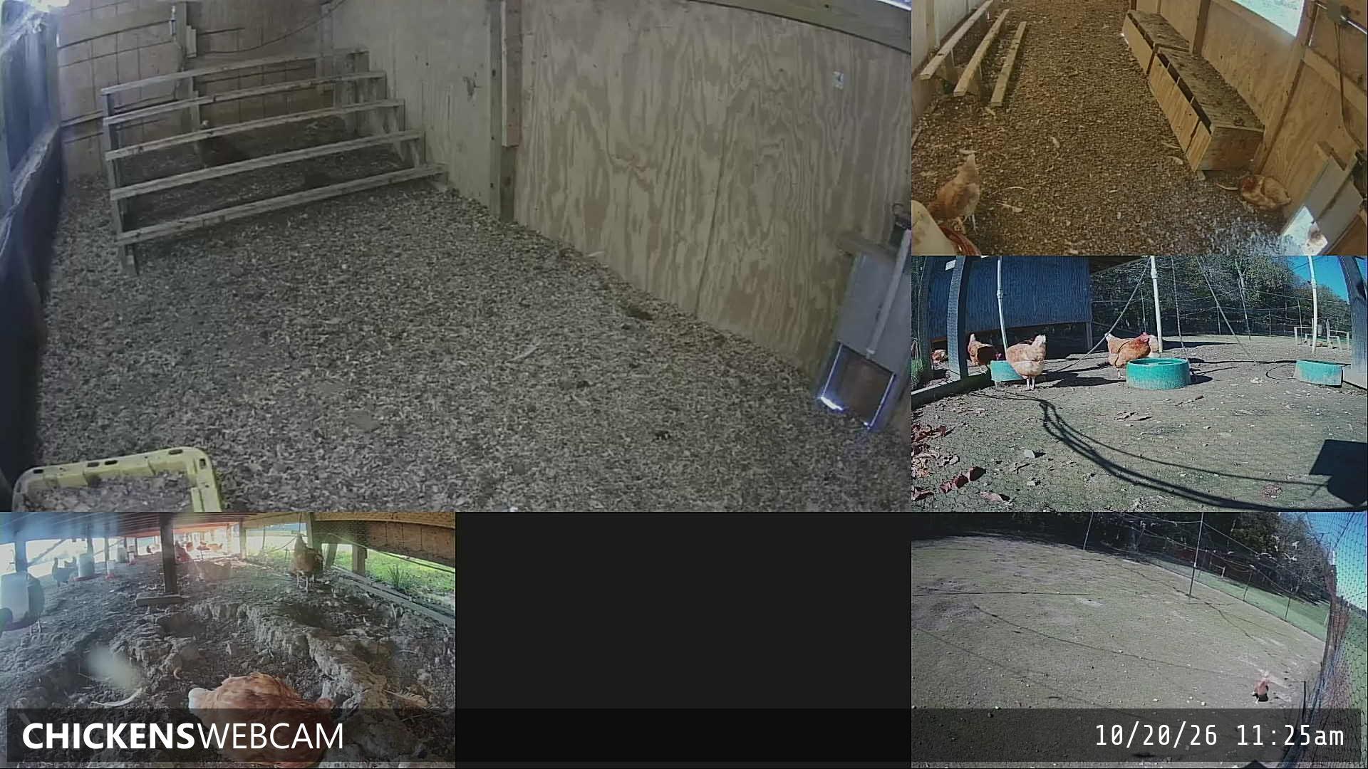 Twitch Stream Preview