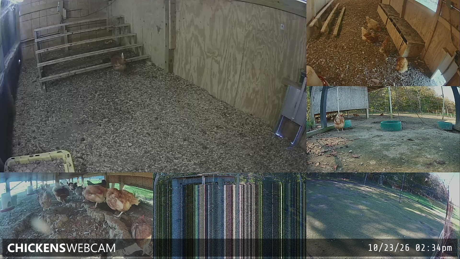 Twitch Stream Preview