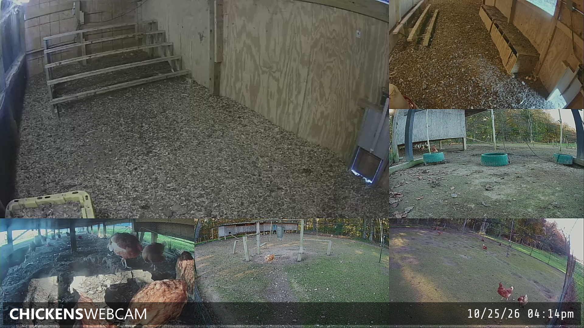 Twitch Stream Preview