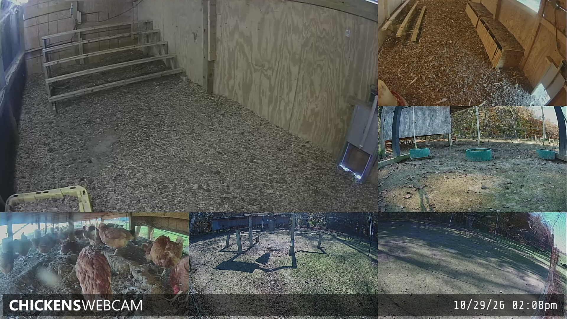 Twitch Stream Preview