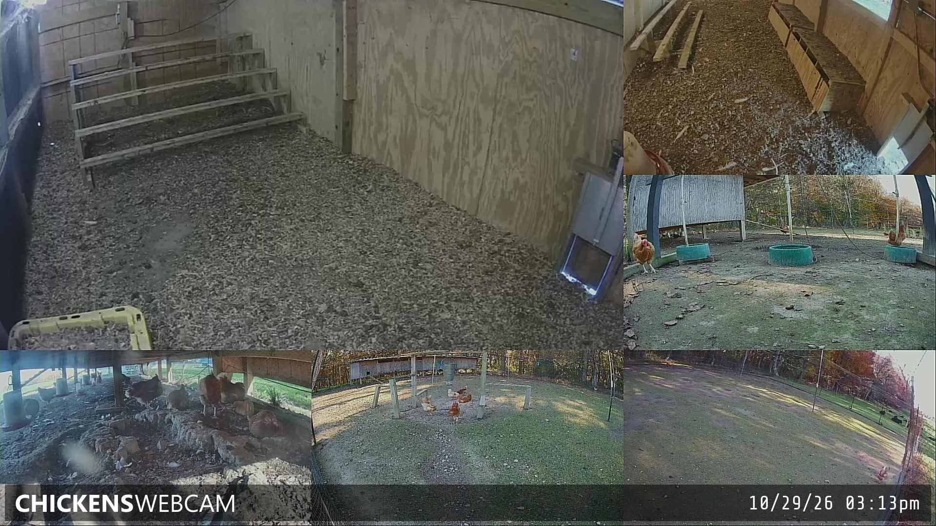 Twitch Stream Preview