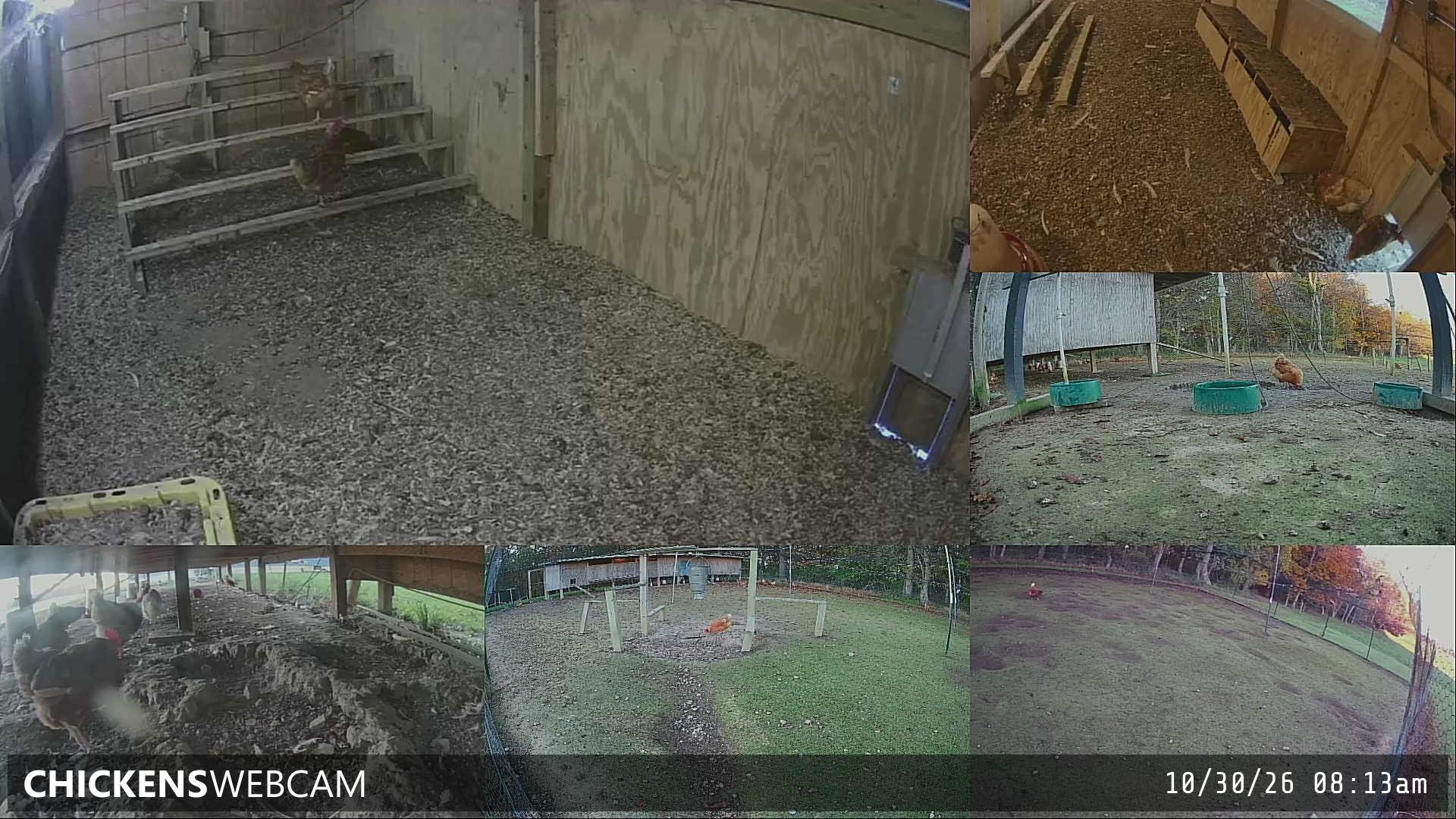 Twitch Stream Preview